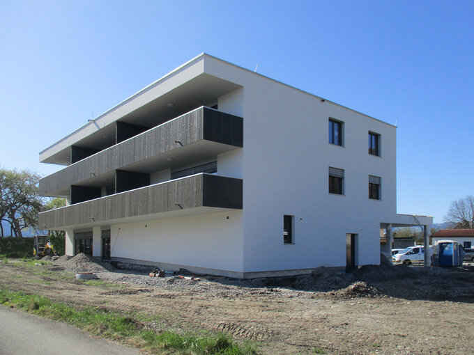Koblach - Wiesen