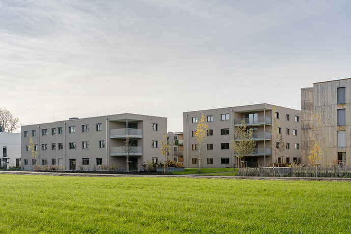 Hard - Im Bommen (teilw.Wohnen500+)