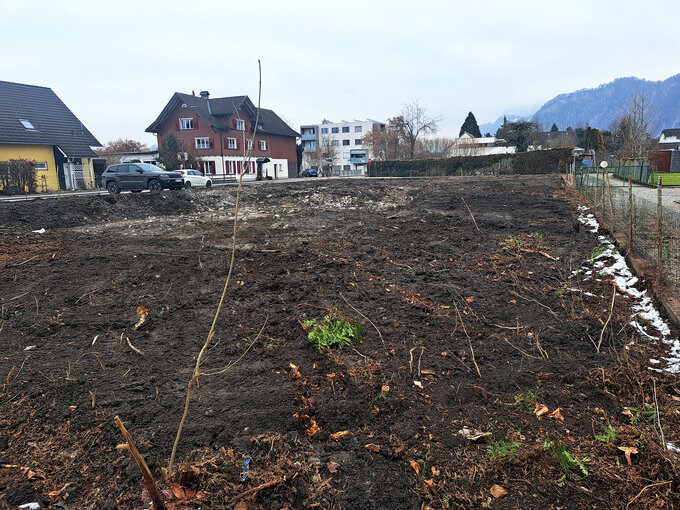 Hohenems - Rudolf-von-Ems-Straße (WOHNEN550)