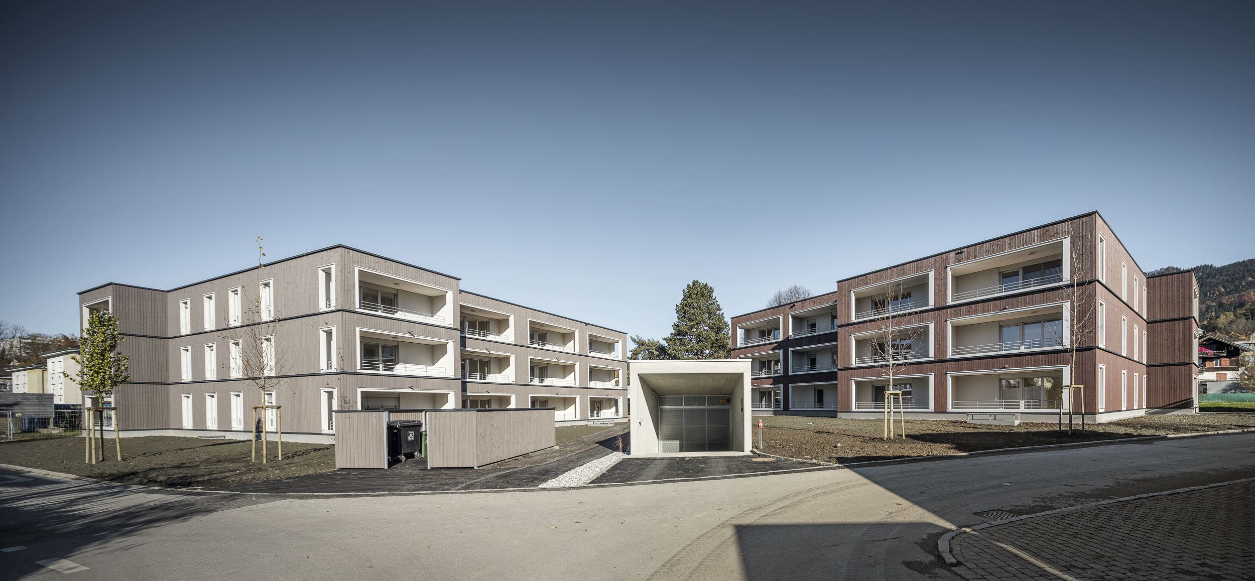 Bregenz - Feldmoos III