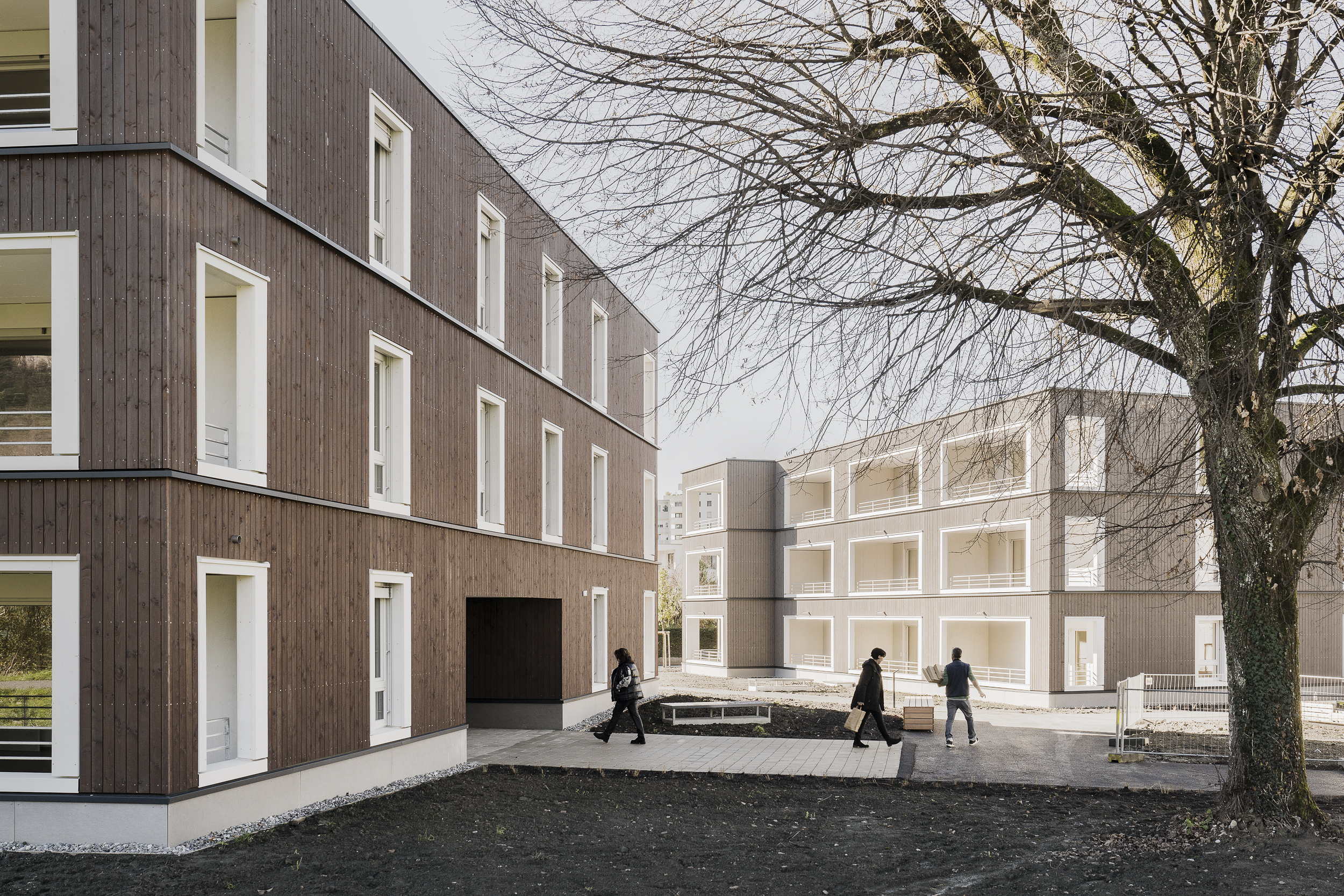 Bregenz - Feldmoos III