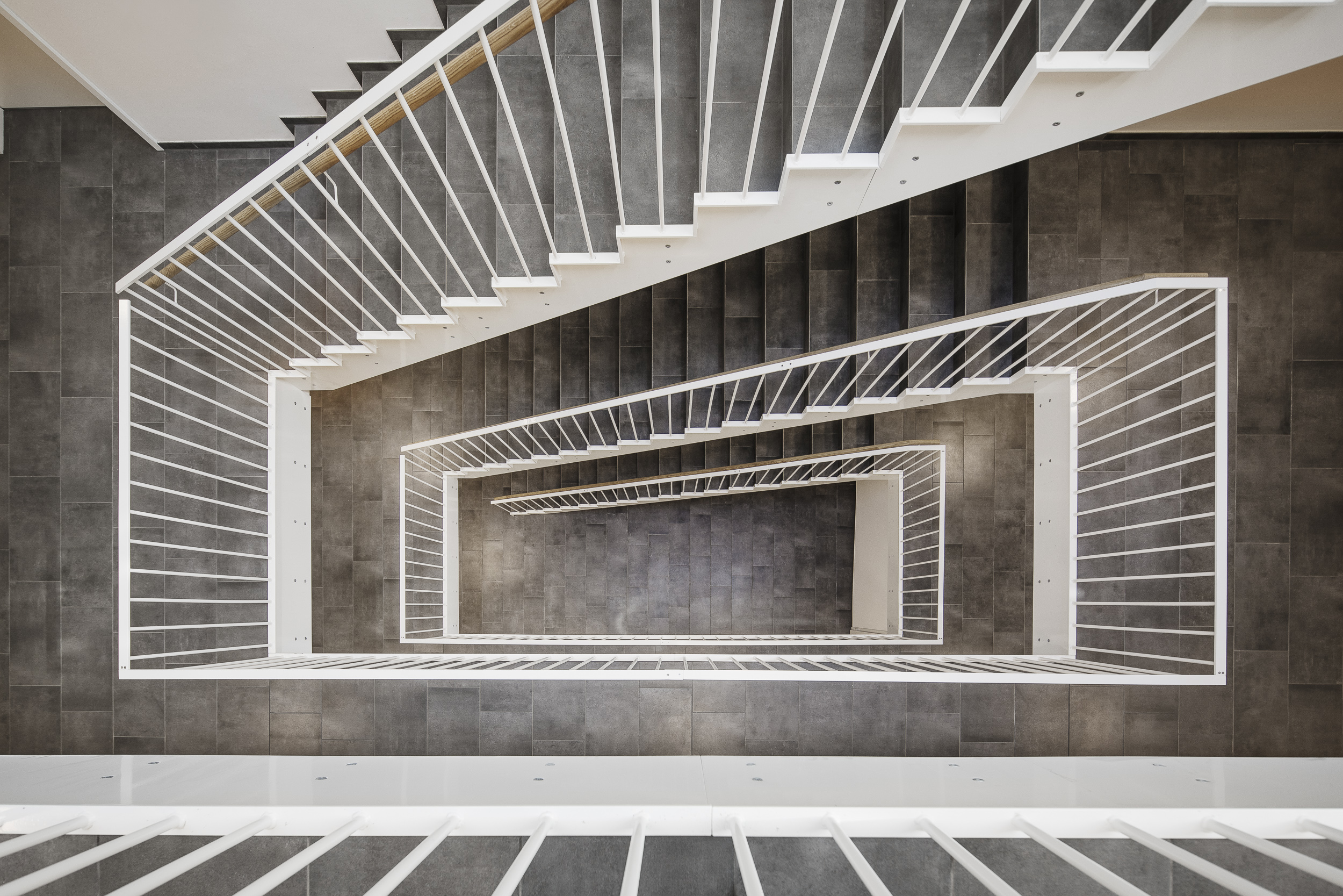 Bregenz - Feldmoos III