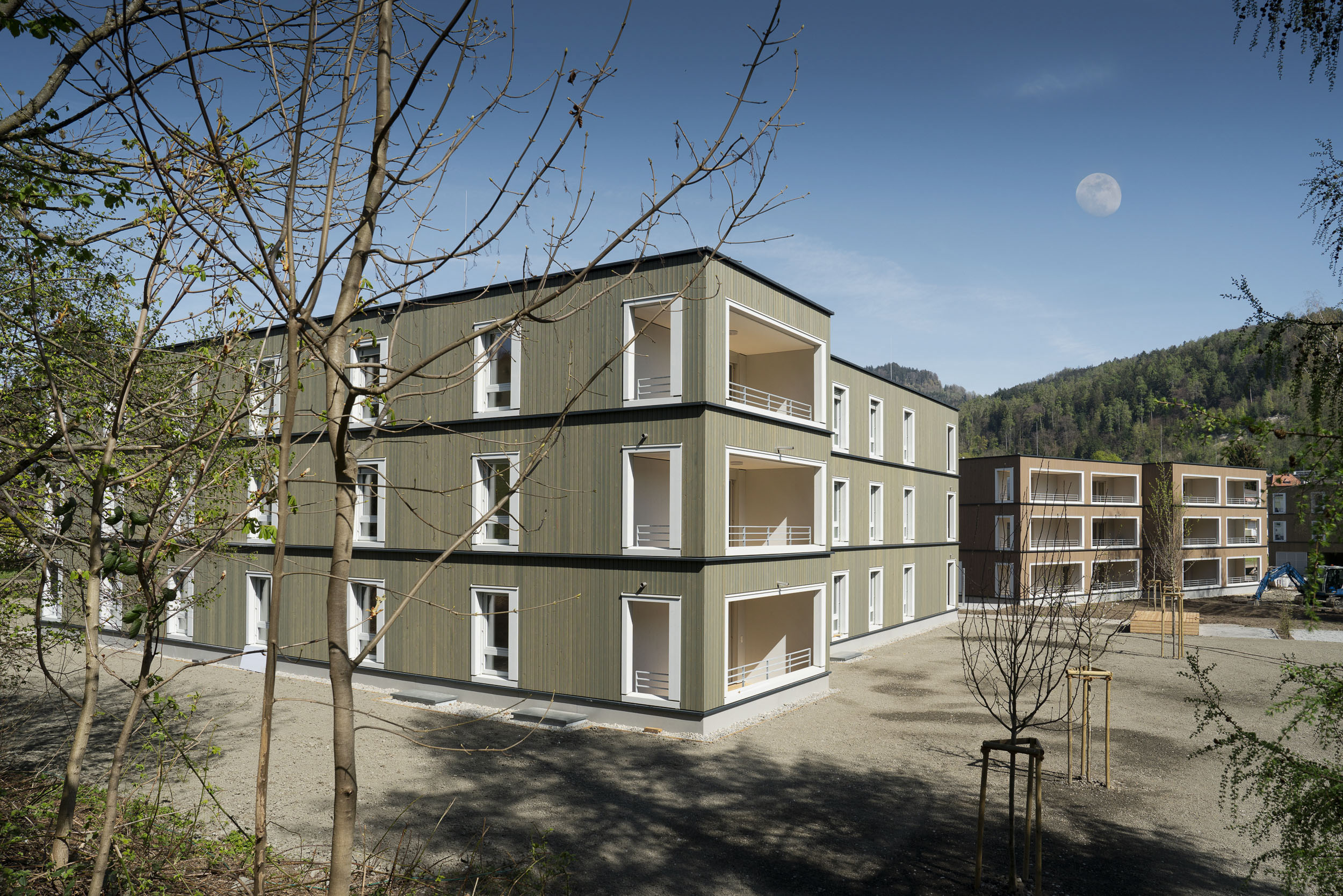 Bregenz - Feldmoos III