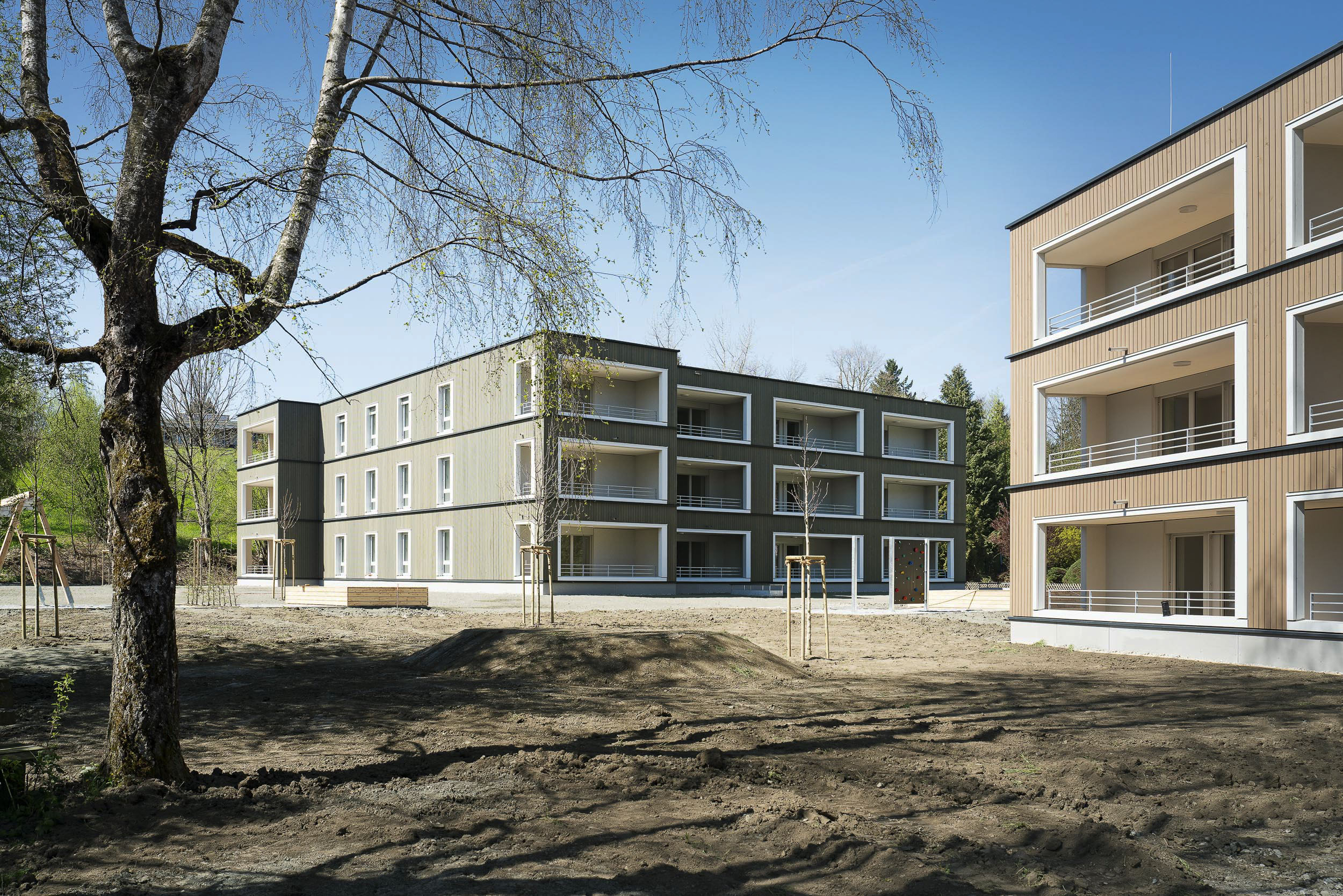 Bregenz - Feldmoos III