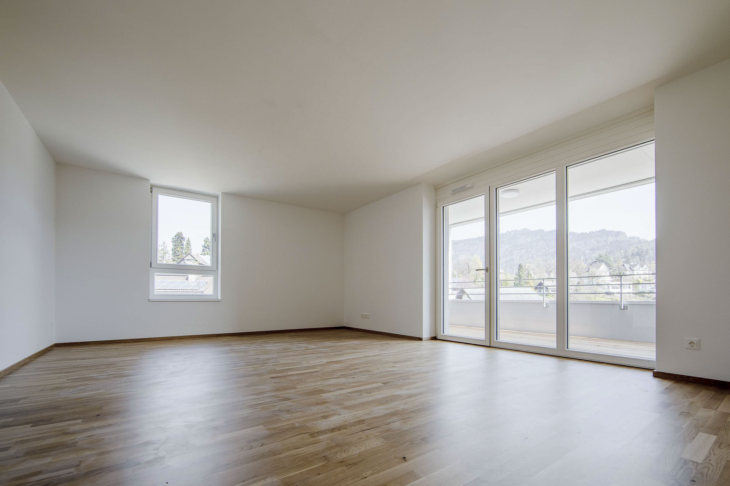 Bregenz - Feldmoos III